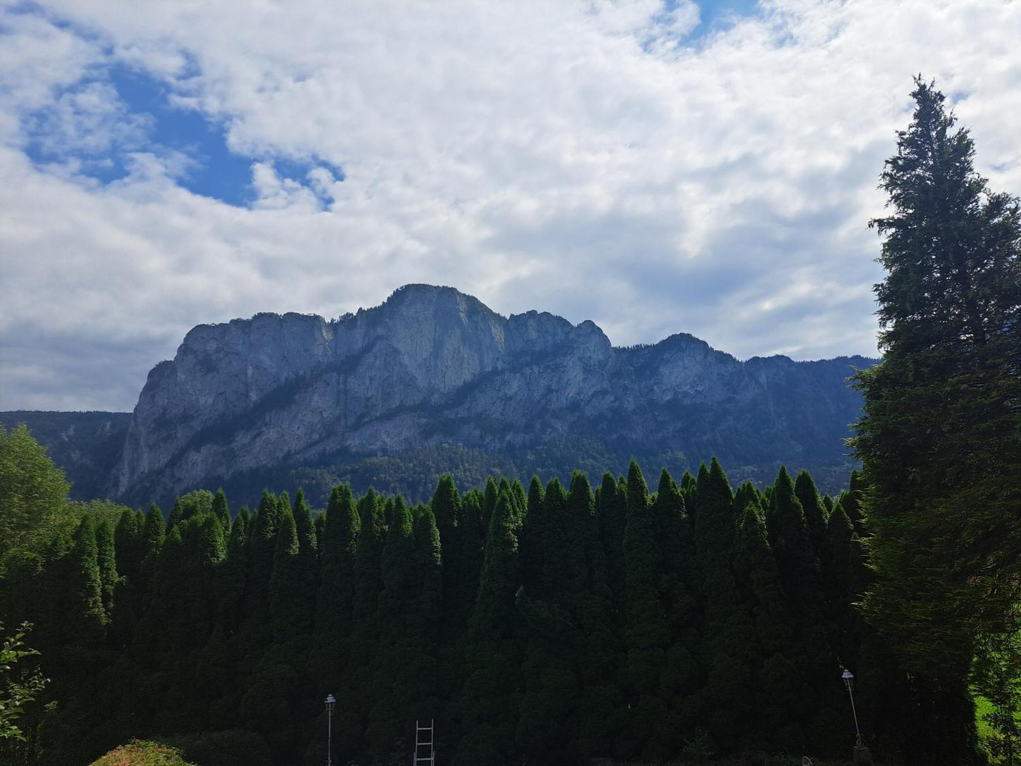 Bergblick