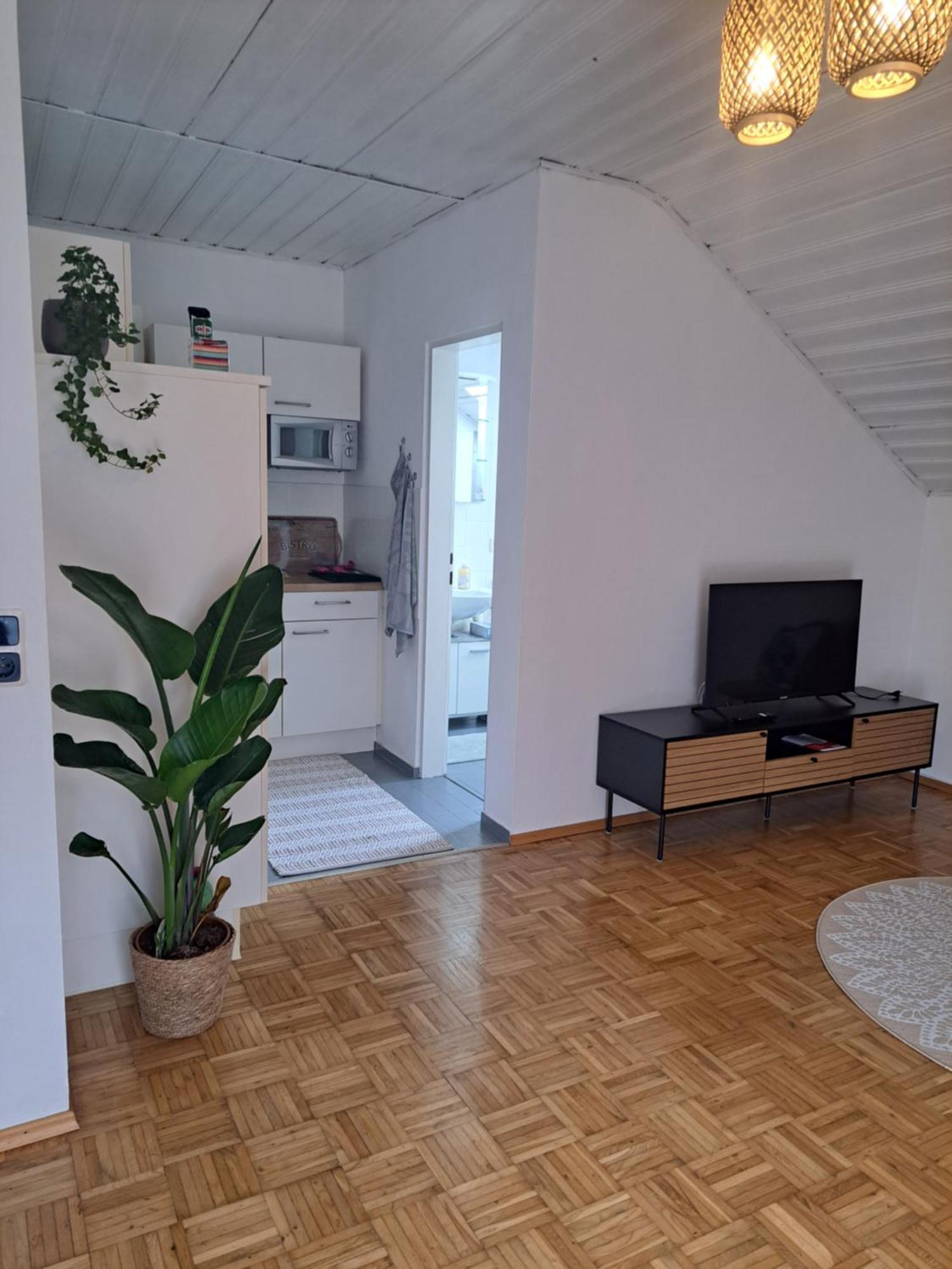 Apartment Bergblick